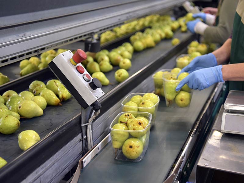 水果输送应用案例